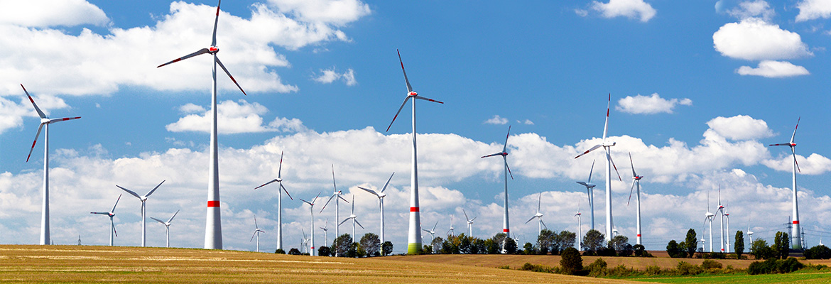 Das Bild zeigt Windenergieanlagen an Land und dient als Beitragsbild zum Blogbeitrag von Janko Geßner zum Thema 'Klimaschutz vor Artenschutz?' von Dombert Rechtsanwälte Potsdam und Düsseldorf.