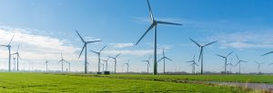 Das Bild zeigt viele Windkraftanlagen auf einem Feld und dient zur Veranschaulichung für den Blogbeitrag zum Thema Ausbau der erneuerbaren Energien